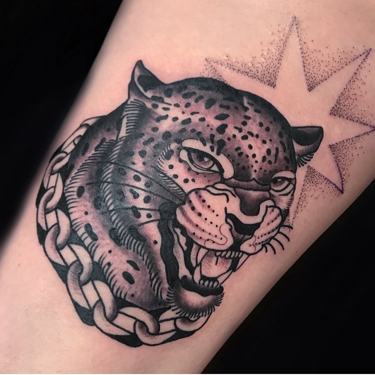Animal, Tiger