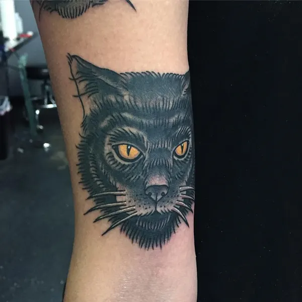 Animal, Tiger