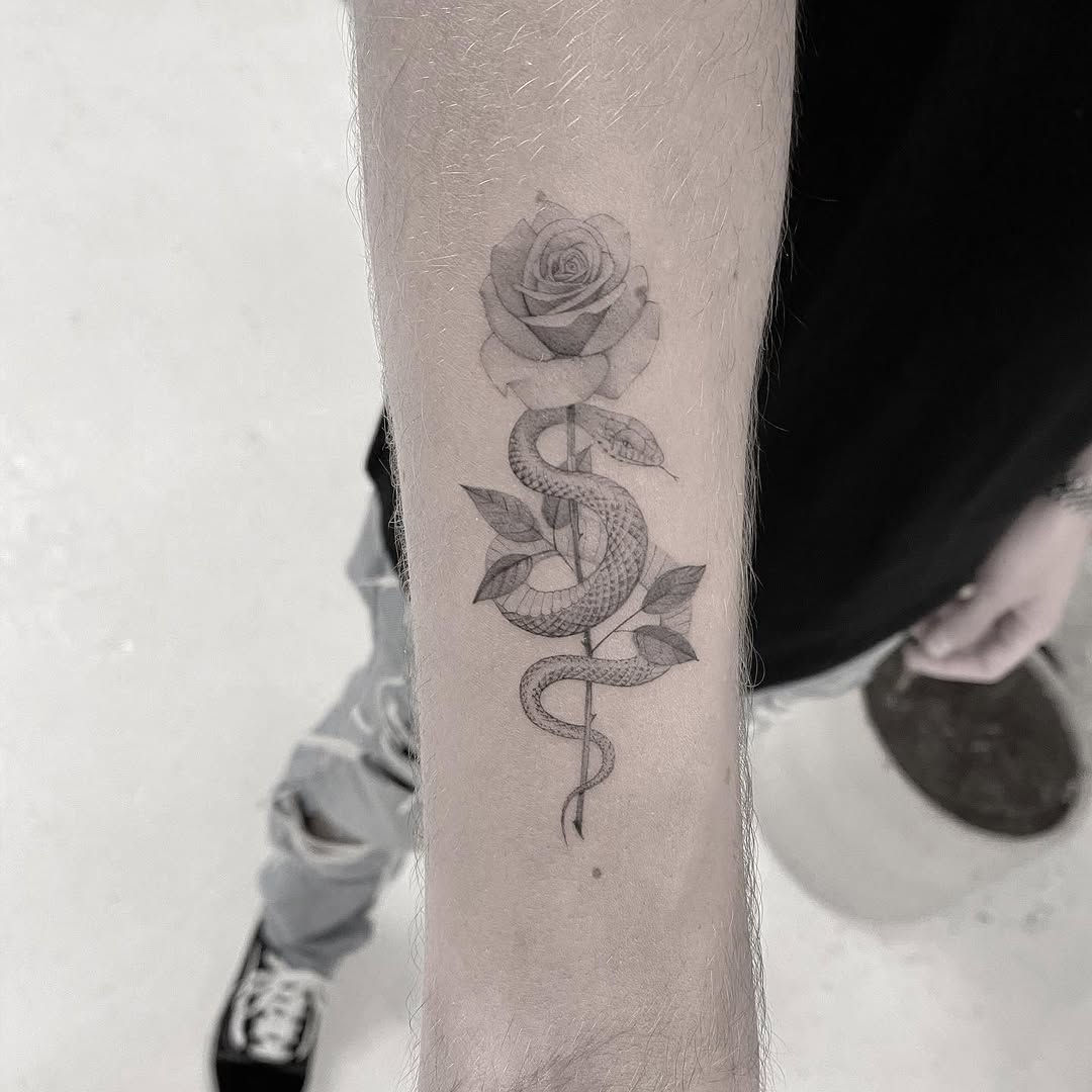 Flower, Rose, Dragon