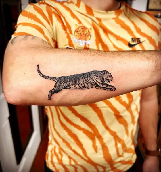 Tiger