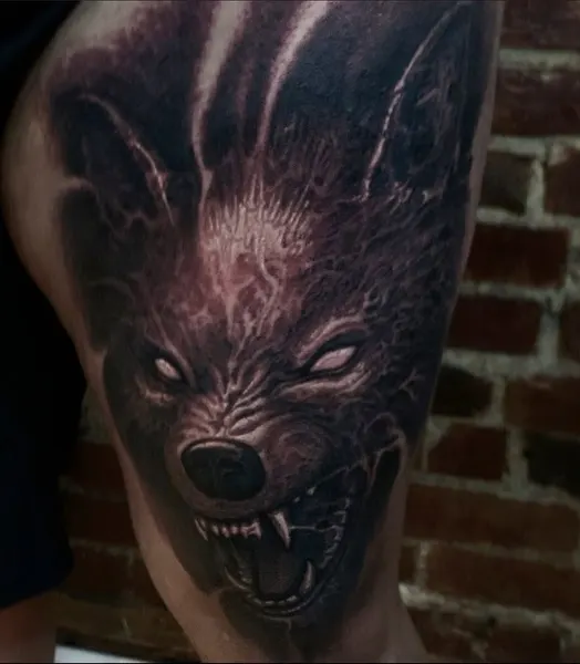 Animal, Tiger