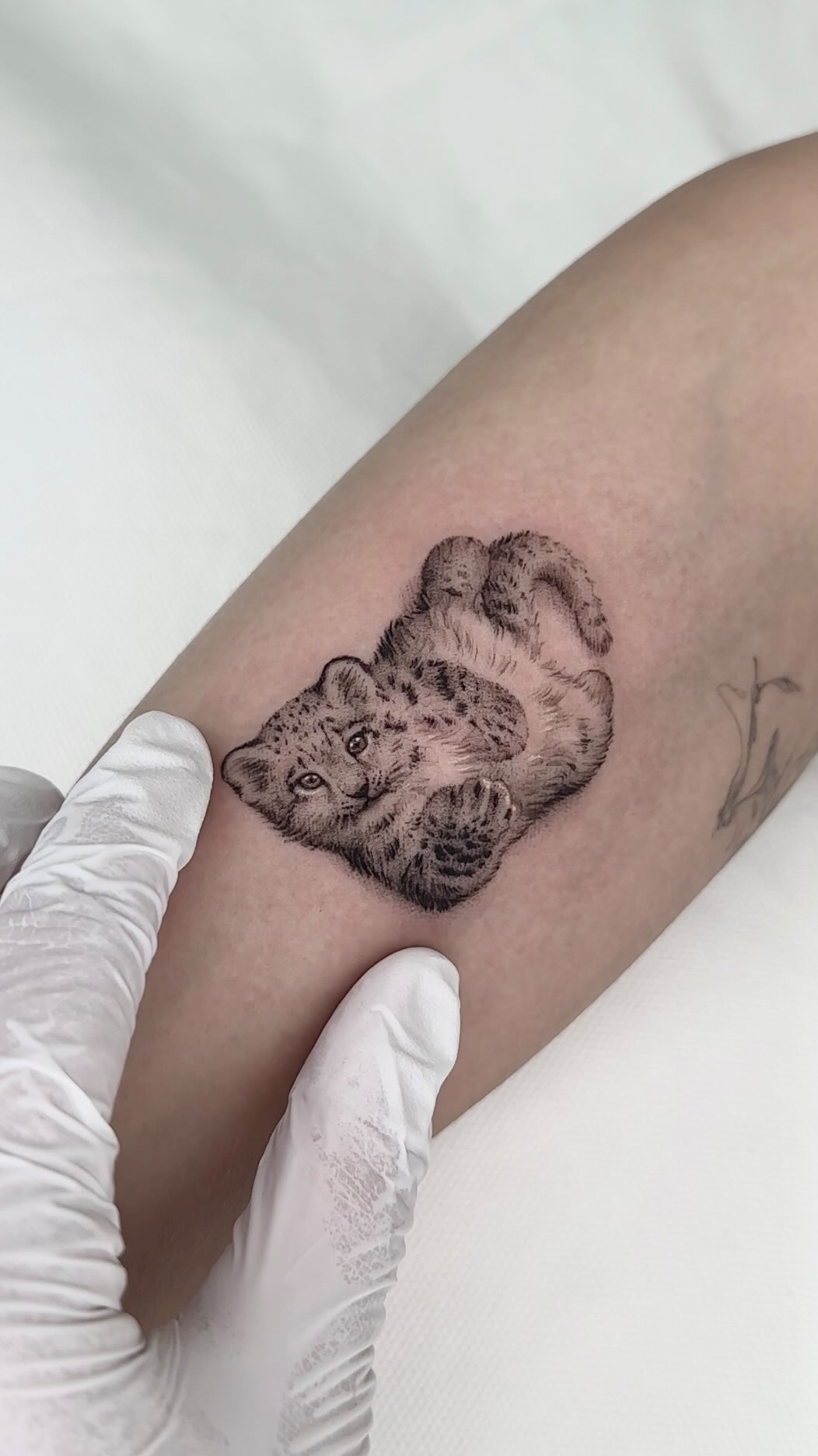 40.tatt