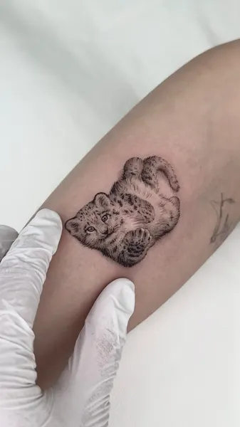 Animal, Tiger, 발자국