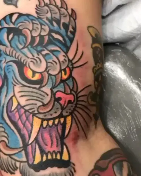 Tiger, Animal