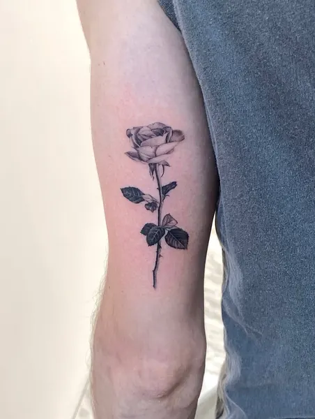 Flower, Rose
