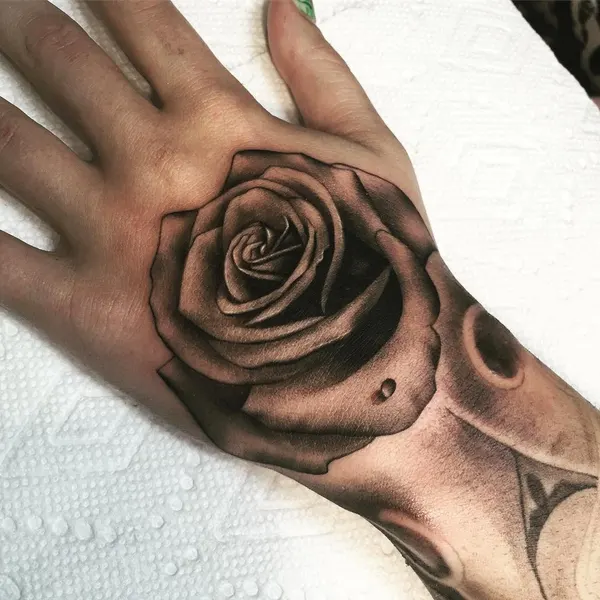 Rose, Flower