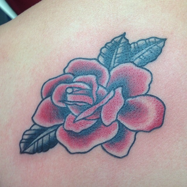 Flower, Rose, Nature