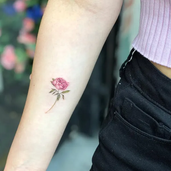 Flower, Rose