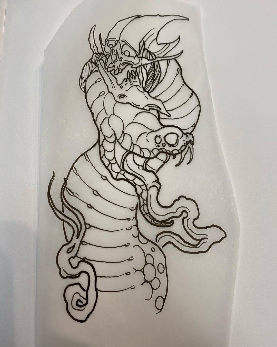 Dragon