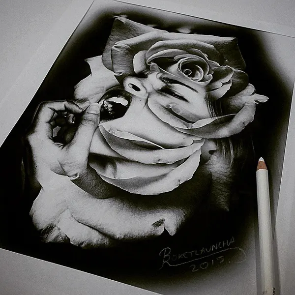 Flower, Rose