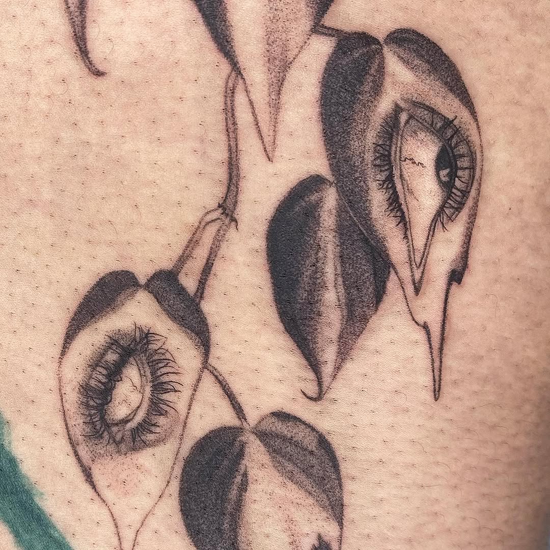 plantsnpokes