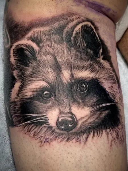 Animal