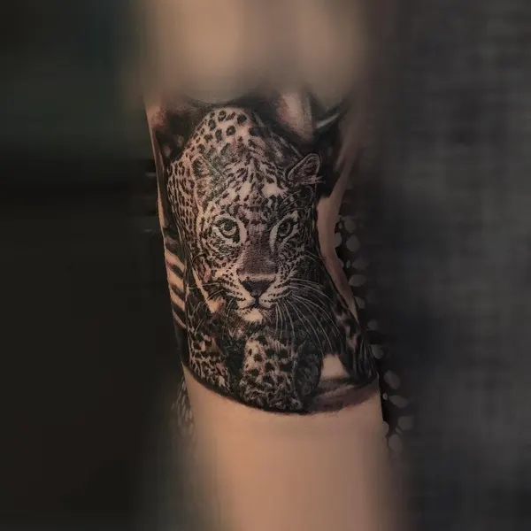 Animal