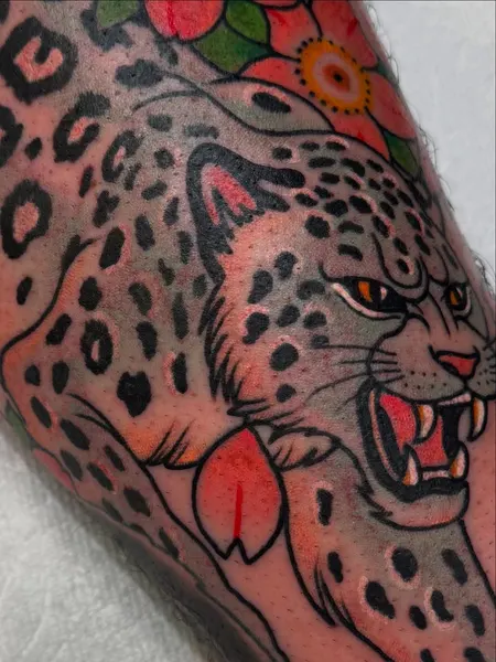 Tiger, Animal