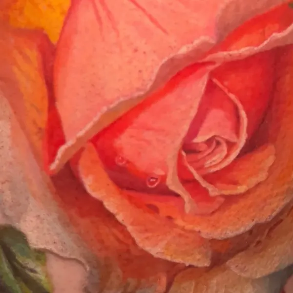 Flower, Rose