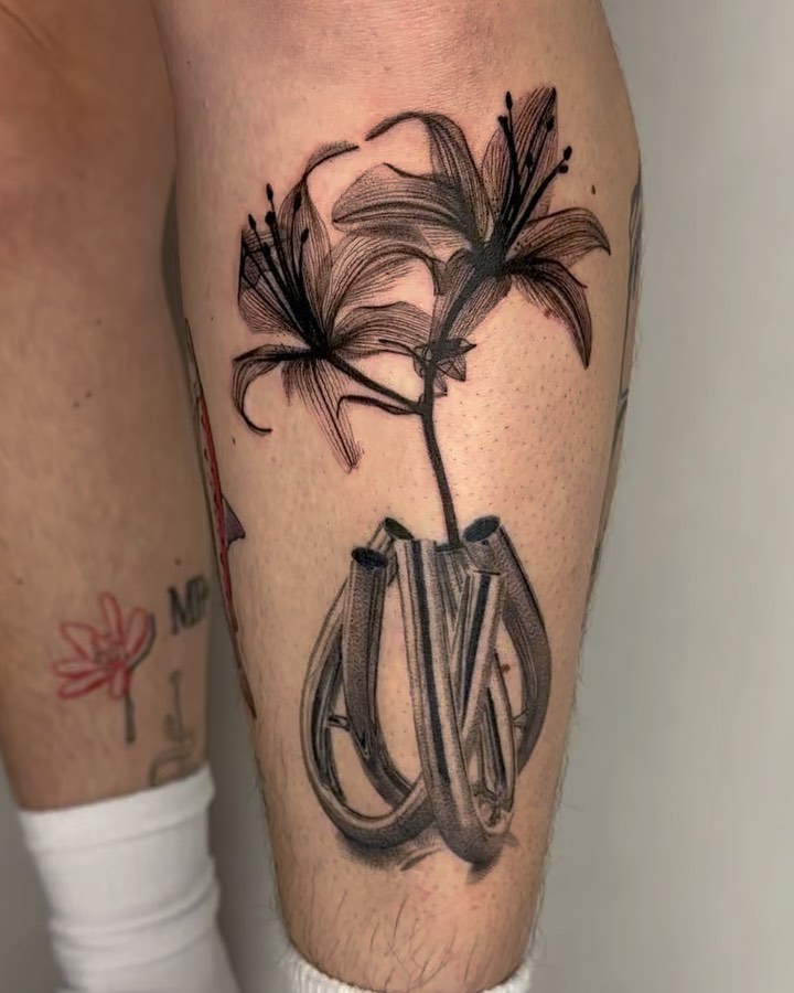 plantsnpokes