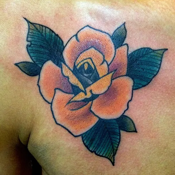 Flower, Rose, Nature