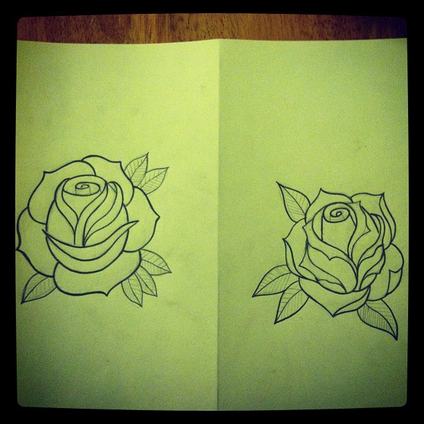 Flower, Rose