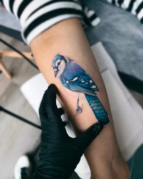 Animal