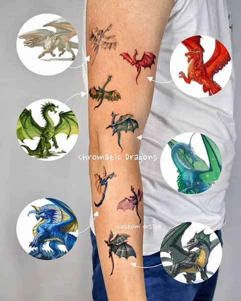 Dragon, 박쥐