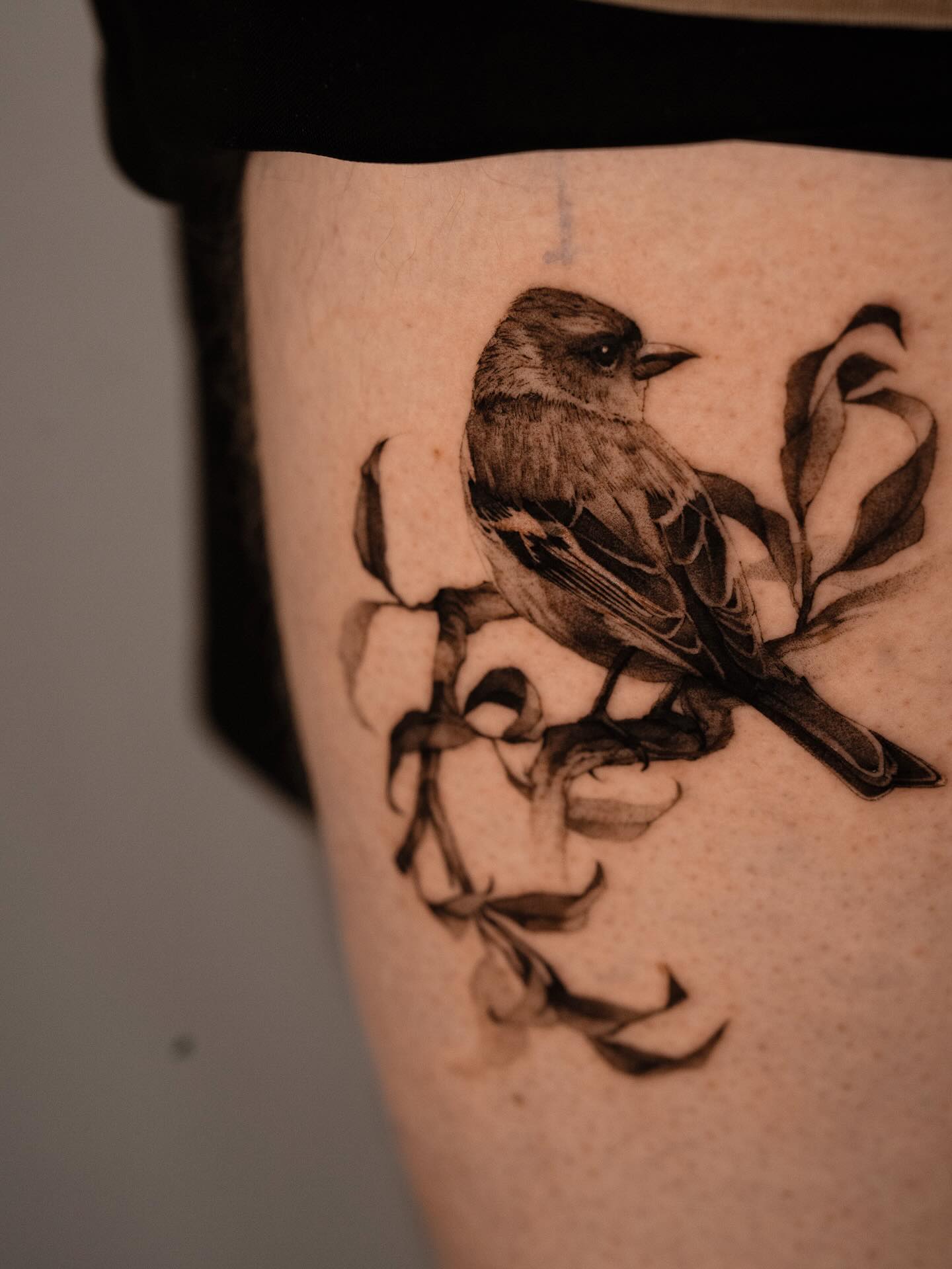 Animal, Flower
