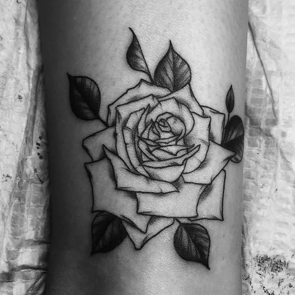 Flower, Rose
