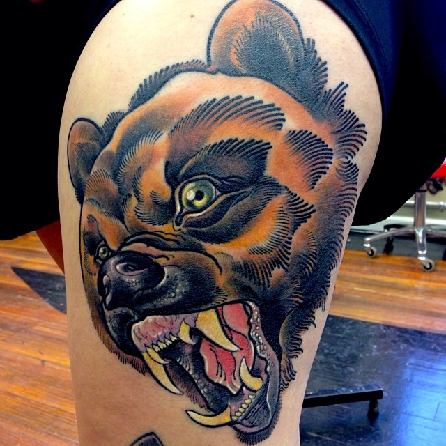 Animal, Tiger