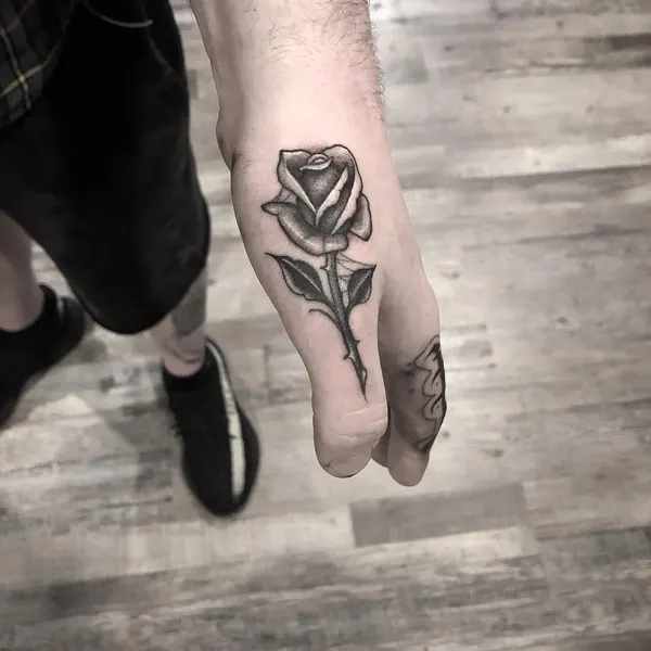 Flower, Rose