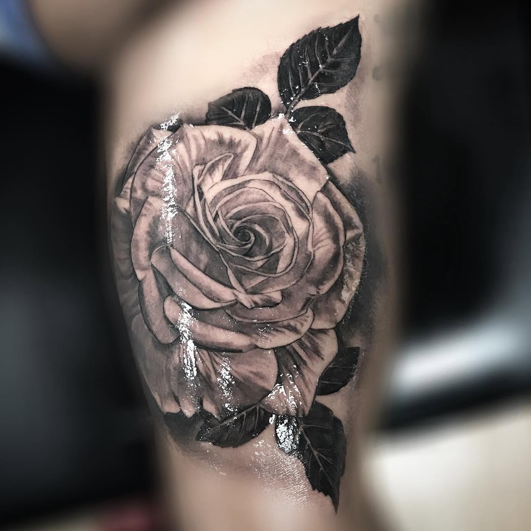 Flower, Rose