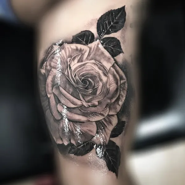 Flower, Rose