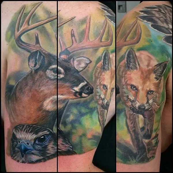 Animal