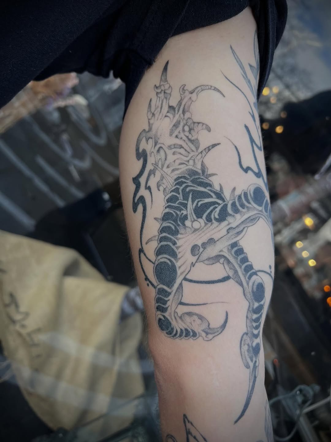 Dragon