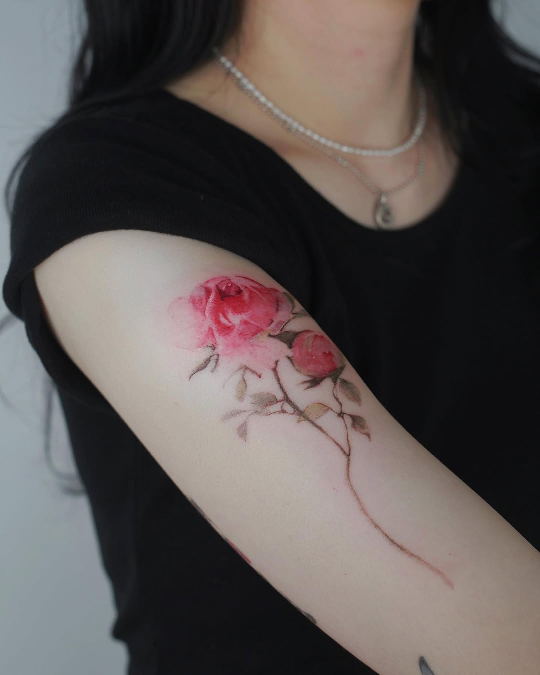 Rose, Flower, Nature