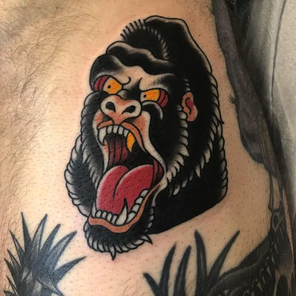 Tiger, Animal