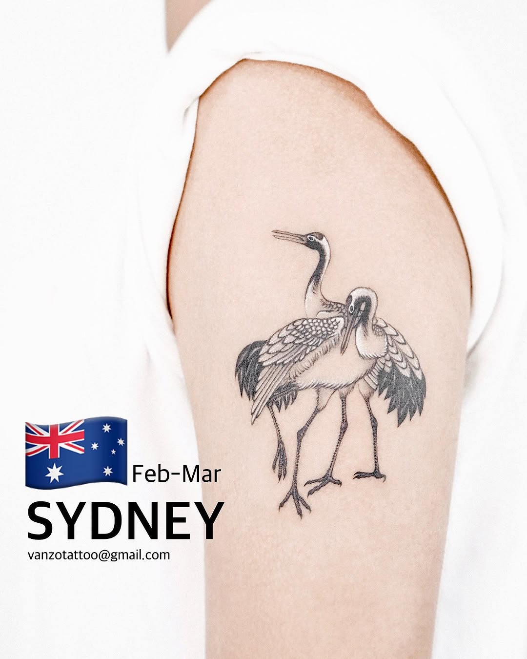 vanzotattoo