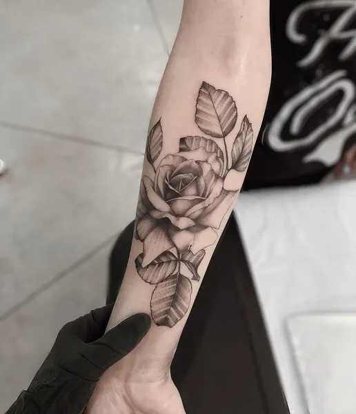 Flower, Rose