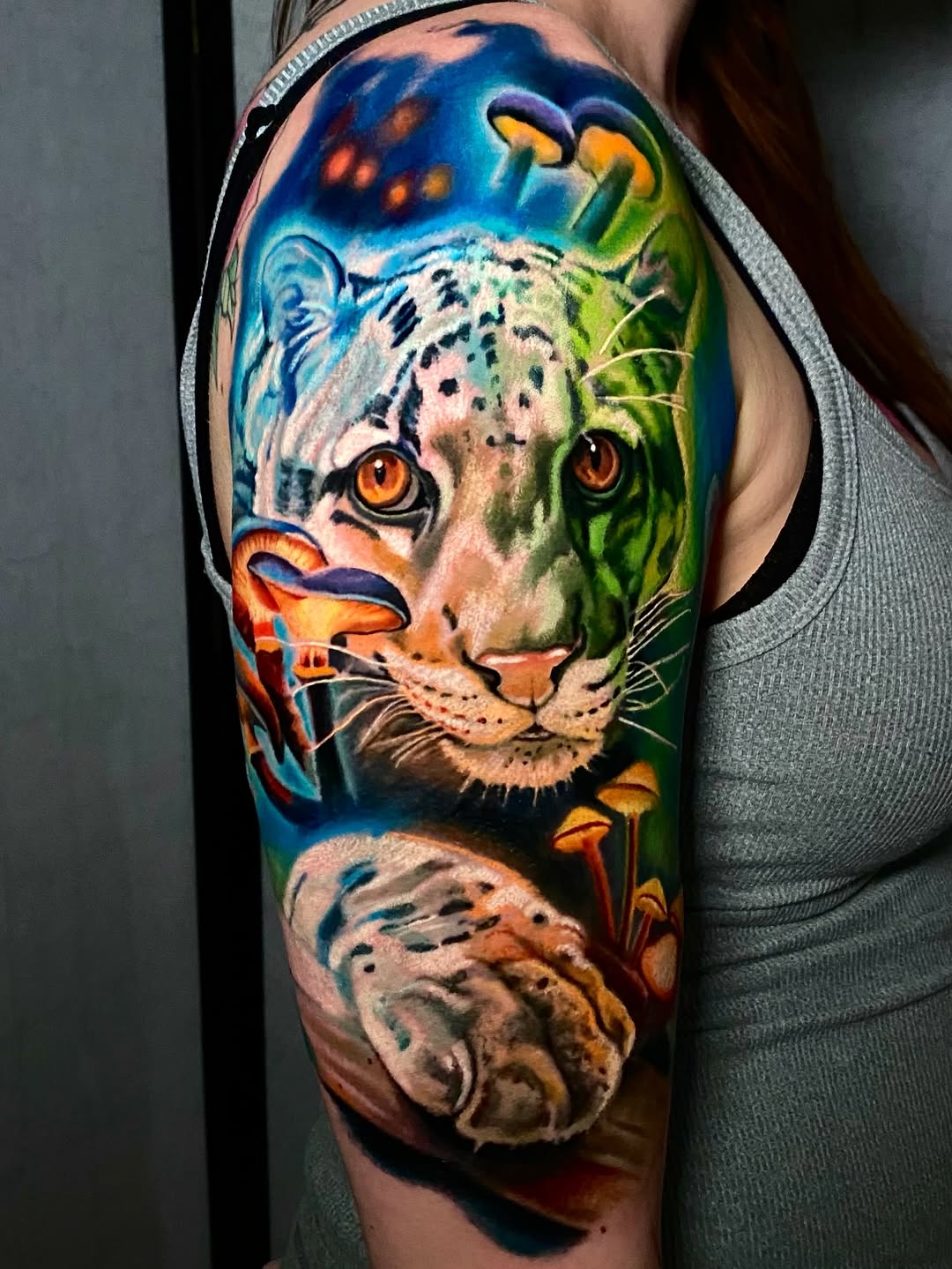 Tiger, Animal