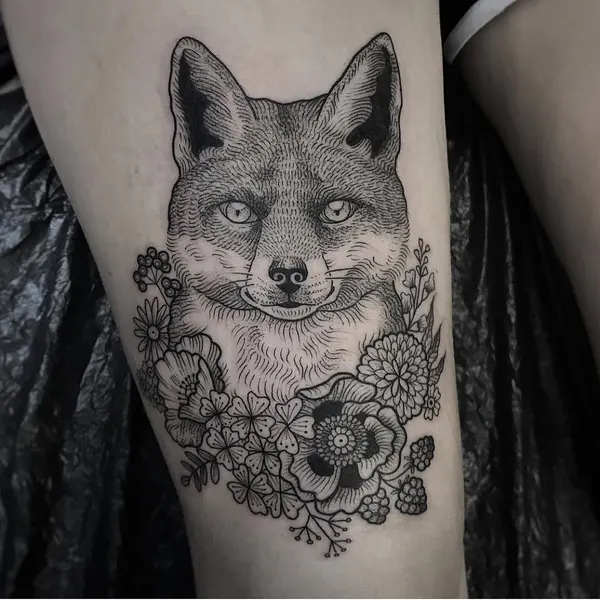 Animal, Nature
