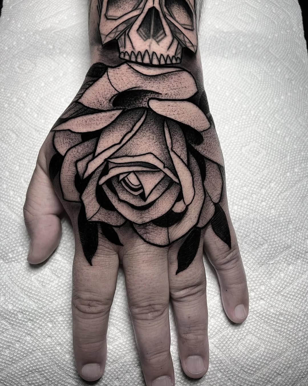 Flower, Rose