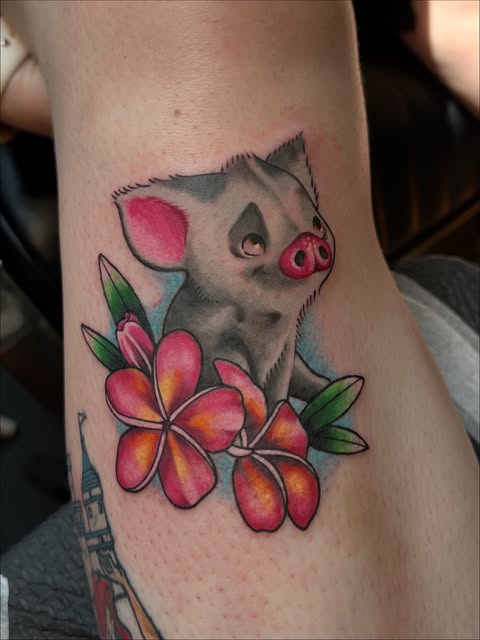 돼지, Animal