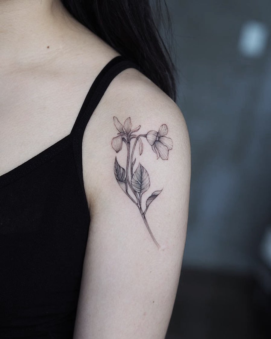 Flower, Rose