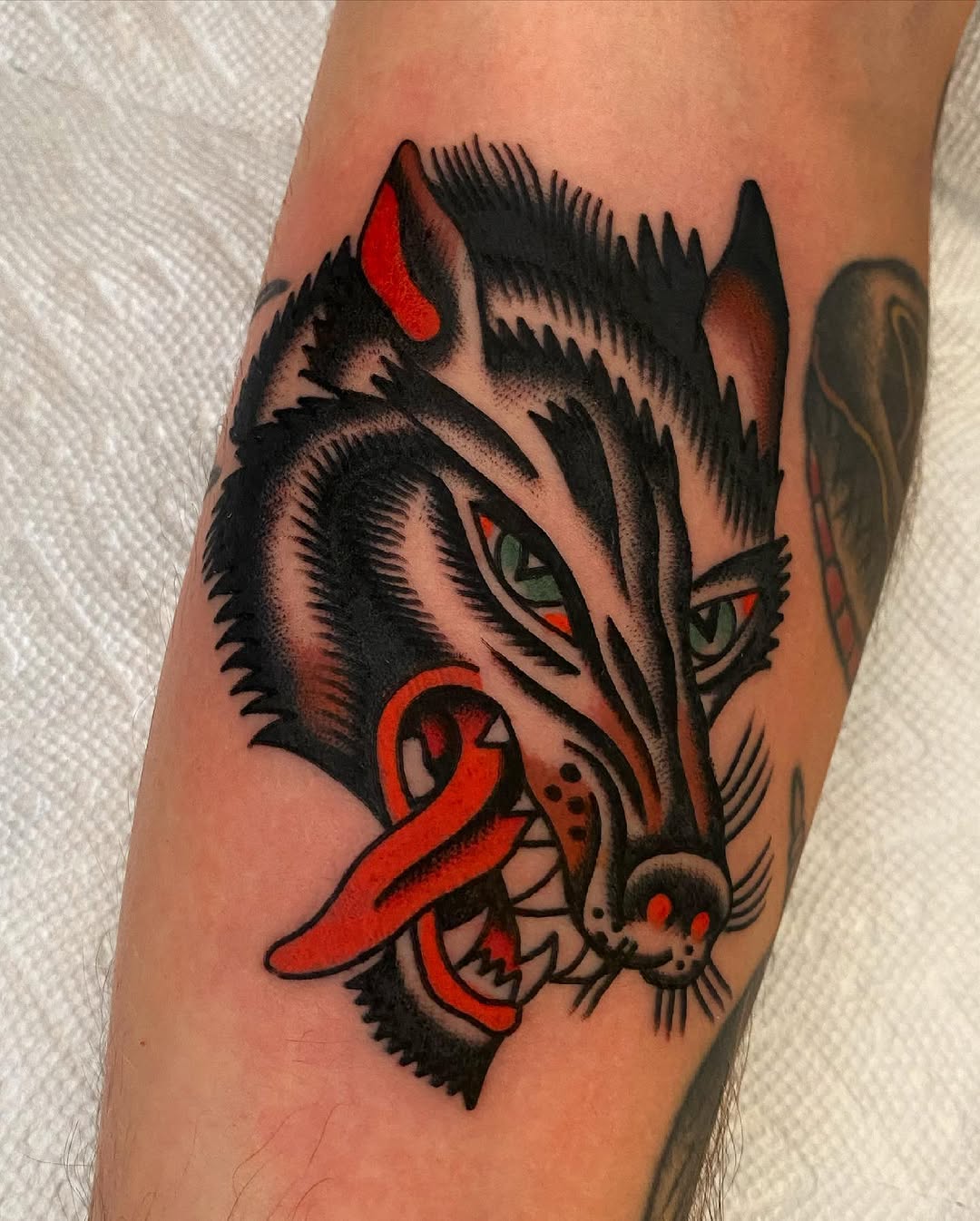 Tiger, Animal