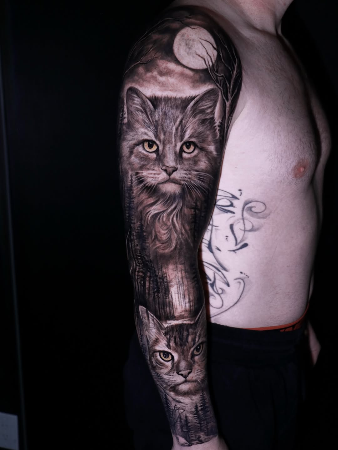 Animal
