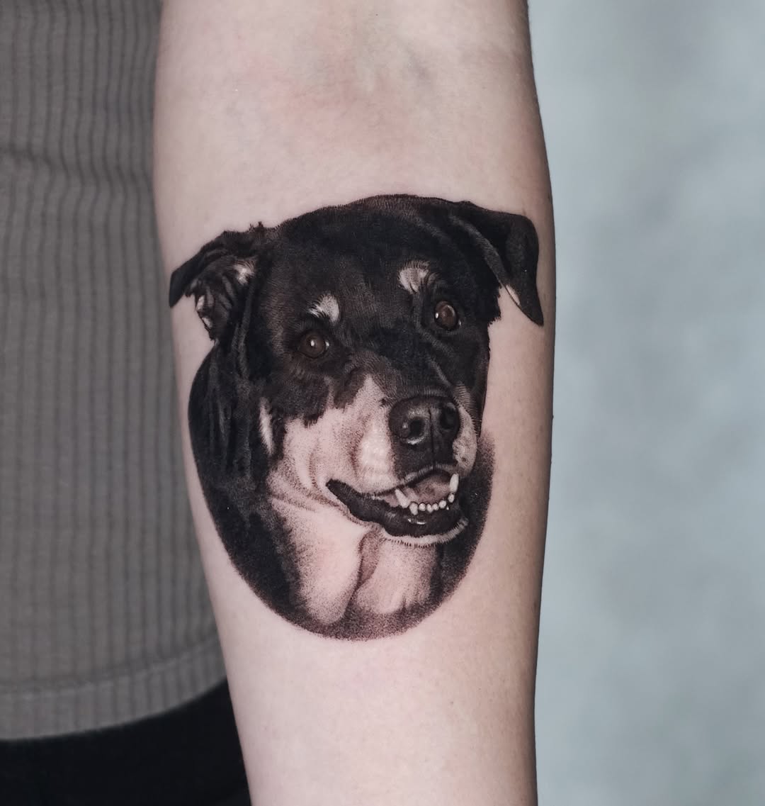 Animal