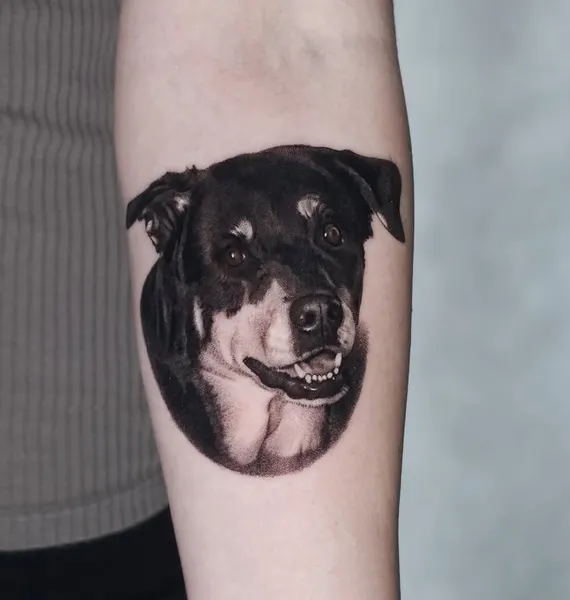 Animal
