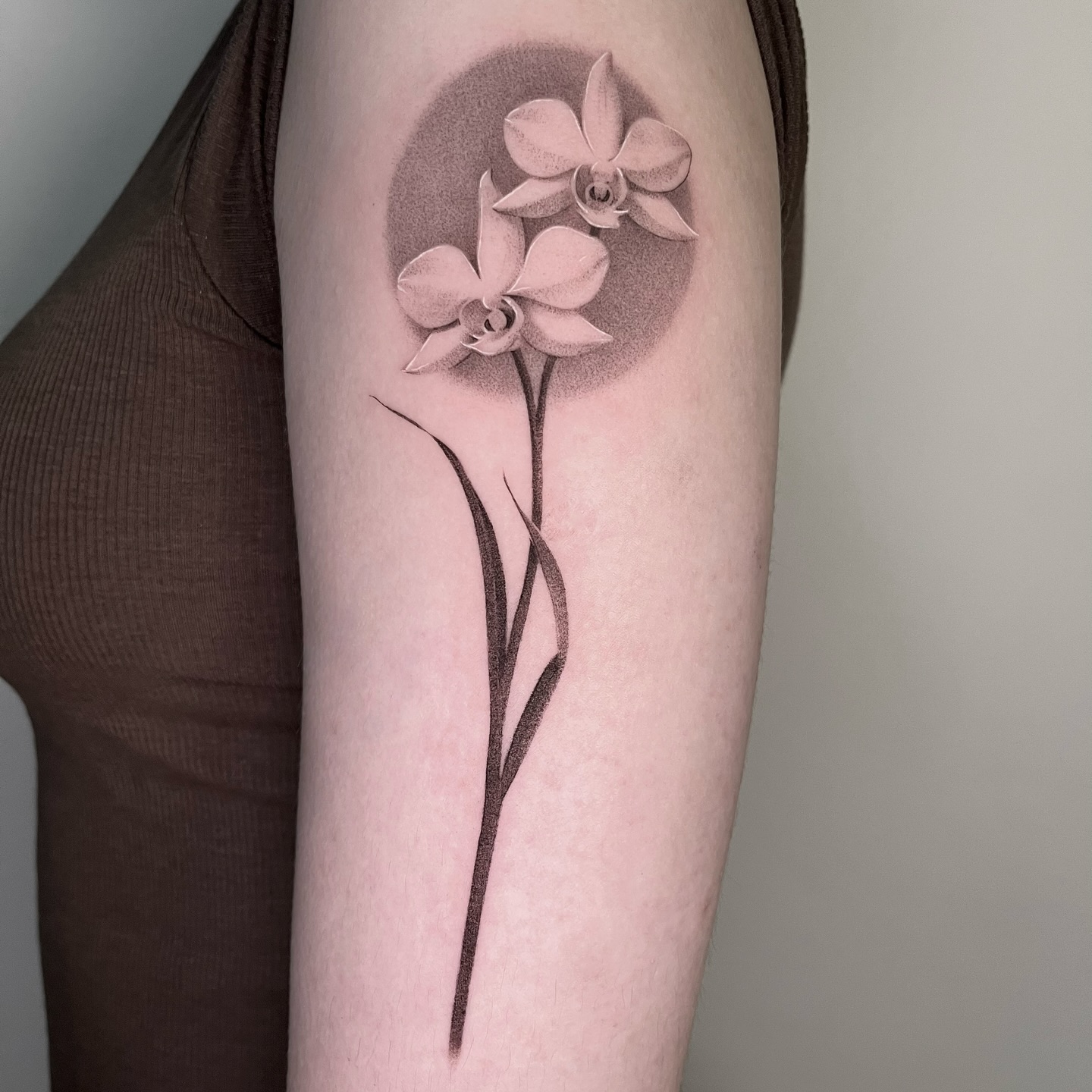 Flower, Rose, 난초