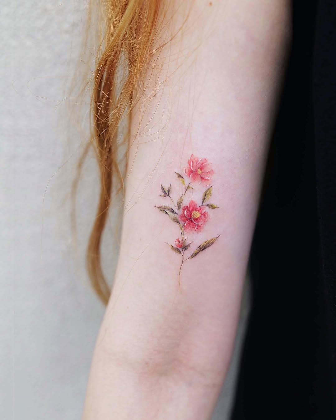 Flower, Rose