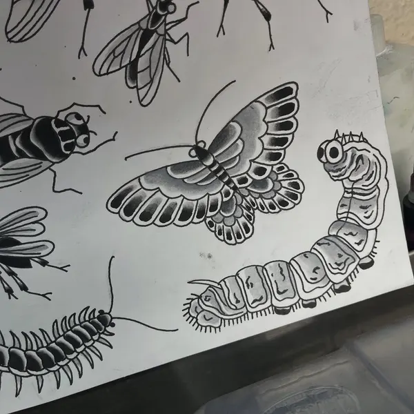 Dragon, Tiger