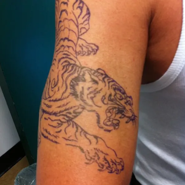 Tiger, Dragon