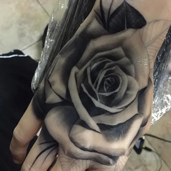 Flower, Rose